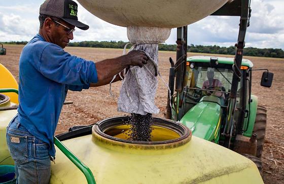 Agropecuária gera mais de 10 mil empregos em Mato Grosso e destaca Estado no cenário nacional